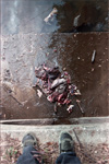 pinhole photographs 
