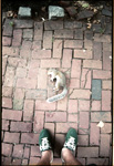 jose bartroli pinhole timescape